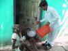 GRAMASEVA 2005