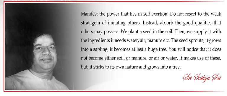 Manifest the power that lies in self exertion! Do not resort to the weak stratagem of imitating others. Instead, absorb the good qualities that others may possess. We plant a seed in the soil. Then, we supply it with the ingredients it needs water, air, manure etc. The seed sprouts; it grows into a sapling; it becomes at last a huge tree. You will notice that it does not become either soil, or manure, or air or water. It makes use of these, but, it sticks to its own nature and grows into a tree. - Sri Sathya Sai