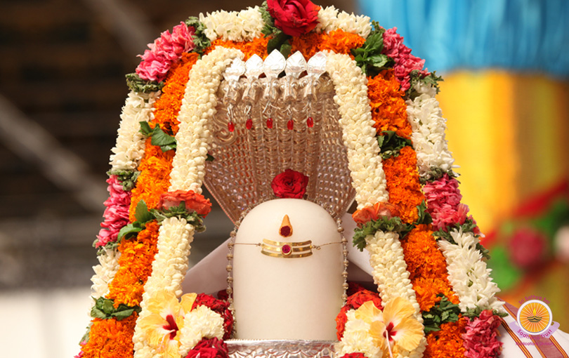 Chandi Homam and Ekadasha Rudrabhishekam…