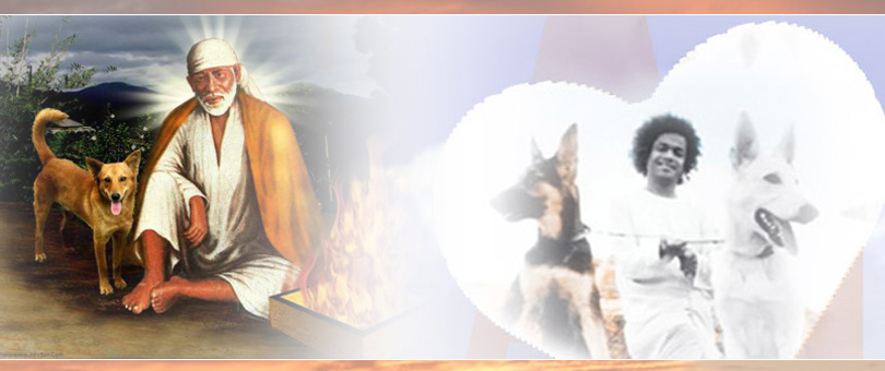 How Shirdi Sai Taught To See GOD In DOG…!!!