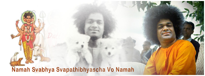 Namah Svabhya Svapathibhyascha Vo Namah