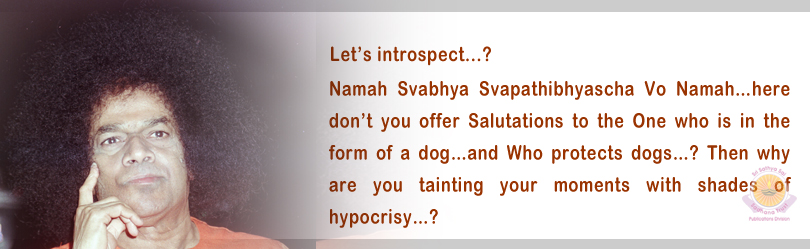 Namah Svabhya Svapathibhyascha Vo Namah