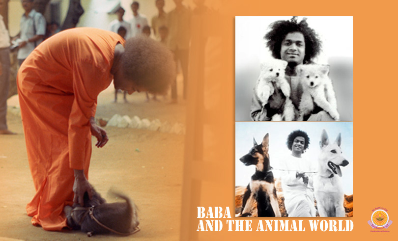 Namah Svabhya Svapathibhyascha Vo Namah