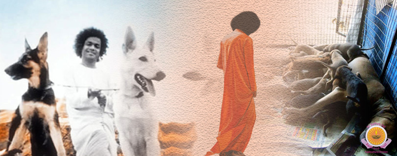 Namah Svabhya Svapathibhyascha Vo Namah