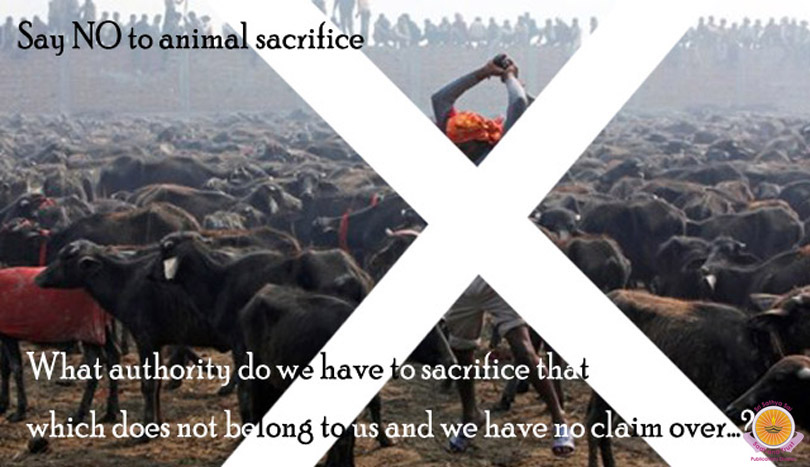 Sacrifice Animal Qualities, Not Animals…