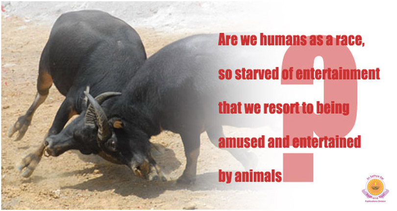 Sacrifice Animal Qualities, Not Animals…