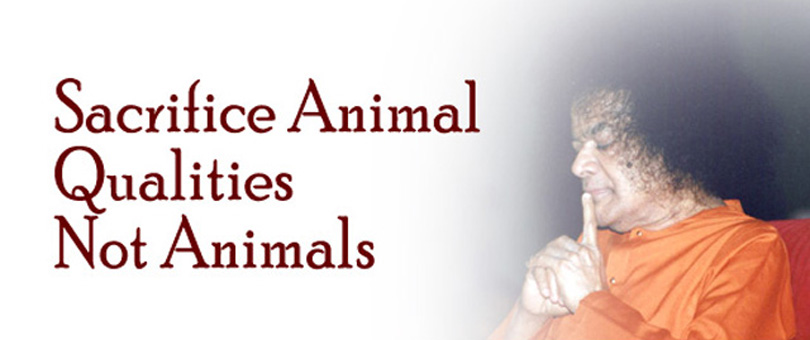 Sacrifice Animal Qualities, Not Animals…