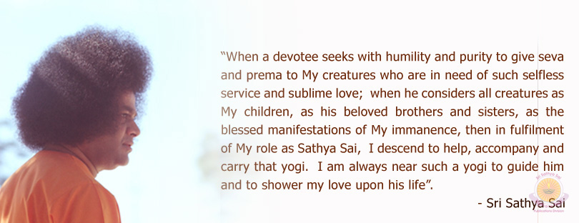 Why Do Seva For Animals?